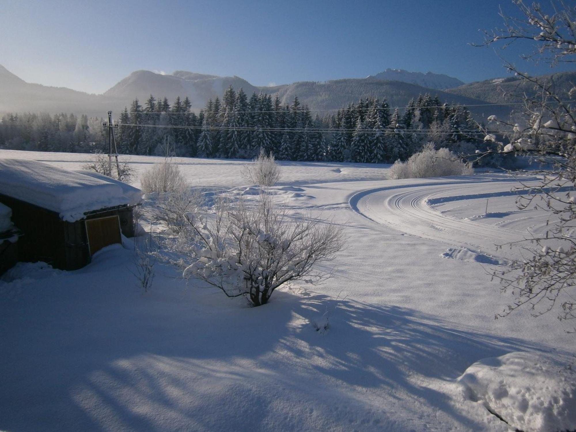 Apartmán Casa Emmi Bad Mitterndorf Exteriér fotografie