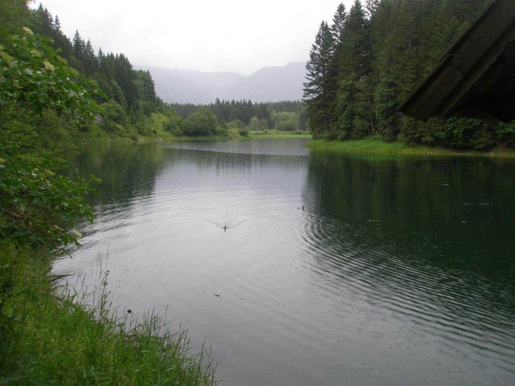 Apartmán Casa Emmi Bad Mitterndorf Exteriér fotografie