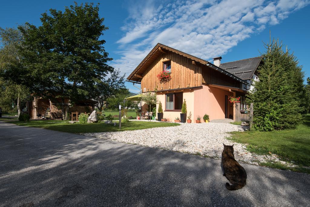 Apartmán Casa Emmi Bad Mitterndorf Exteriér fotografie